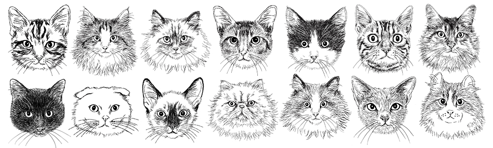 猫顔イラストフリー