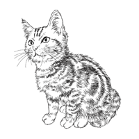 猫の白黒フリーイラスト素材ダウンロード 365cat Art