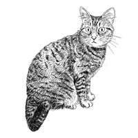 猫の白黒フリーイラスト素材ダウンロード 365cat Art 猫の白黒フリーイラスト素材ダウンロード 365cat Art