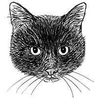 猫の白黒フリーイラスト素材ダウンロード 365cat Art 猫の白黒フリーイラスト素材ダウンロード 365cat Art
