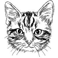 猫の白黒フリーイラスト素材ダウンロード 365cat Art