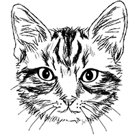 猫の白黒フリーイラスト素材ダウンロード 365cat Art 猫の白黒フリーイラスト素材ダウンロード 365cat Art