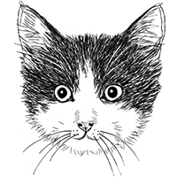 猫の白黒フリーイラスト素材ダウンロード 365cat Art 猫の白黒フリーイラスト素材ダウンロード 365cat Art