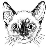 猫の白黒フリーイラスト素材ダウンロード 365cat Art 猫の白黒フリーイラスト素材ダウンロード 365cat Art