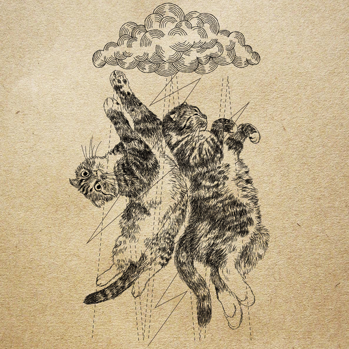 猫のおしゃれでポップな細密画ペンイラスト Orie S Art Work 猫のおしゃれでポップな細密画ペンイラスト Orie S Art Work
