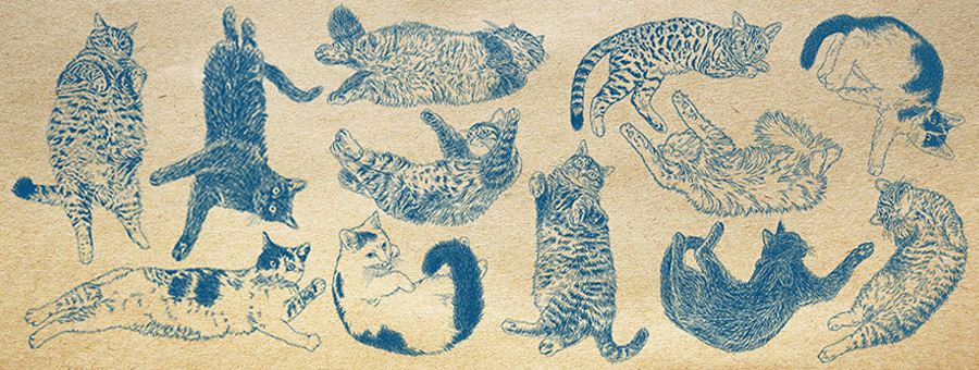 Orie Kawamura 猫の細密ペン画手書きイラスト