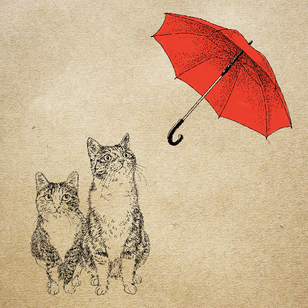 365cat.artおしゃれな猫イラスト・アート【猫は雨の中に】 
