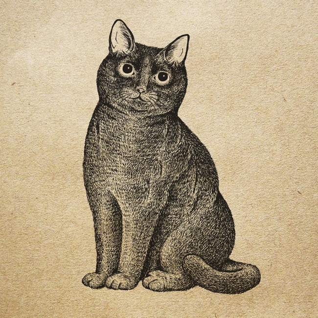 365cat.arおしゃれな猫イラスト・ポップアート【黒猫】 