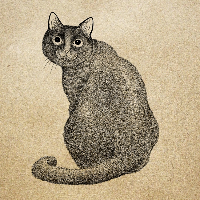365cat.arおしゃれな猫イラスト・ポップアート【黒猫】 