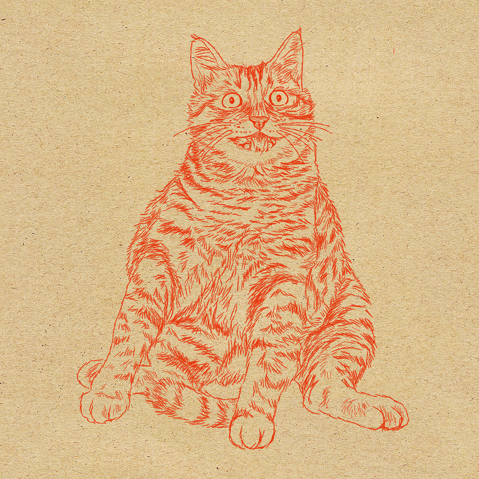 猫の細密ペン画手書きイラスト/Orie's art work