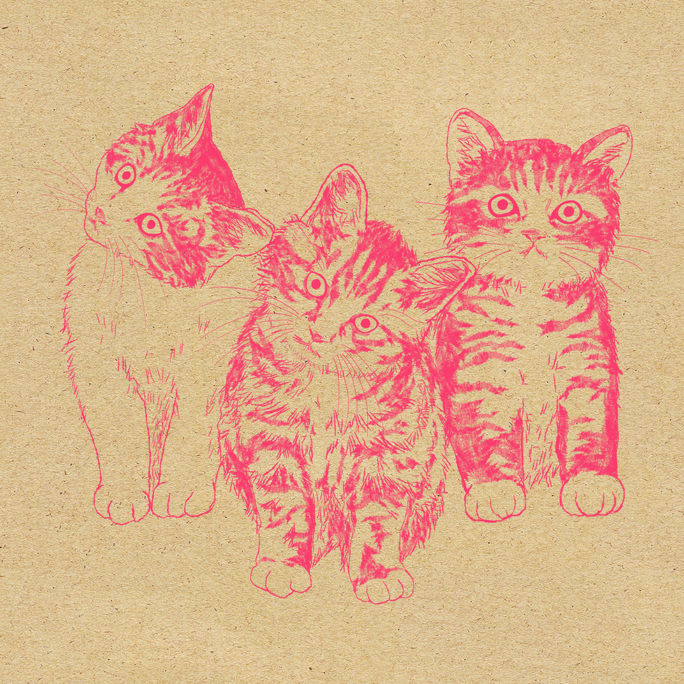 3匹の猫のイラスト・絵