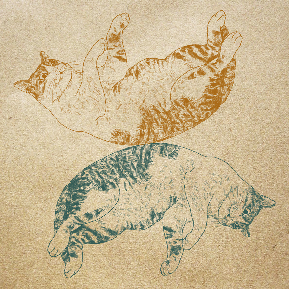 トラ猫イラスト・絵・アート