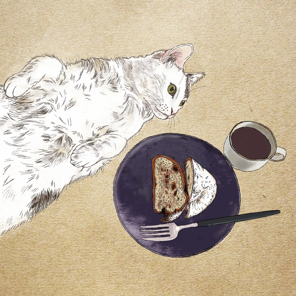猫のイラスト・絵365cat.art