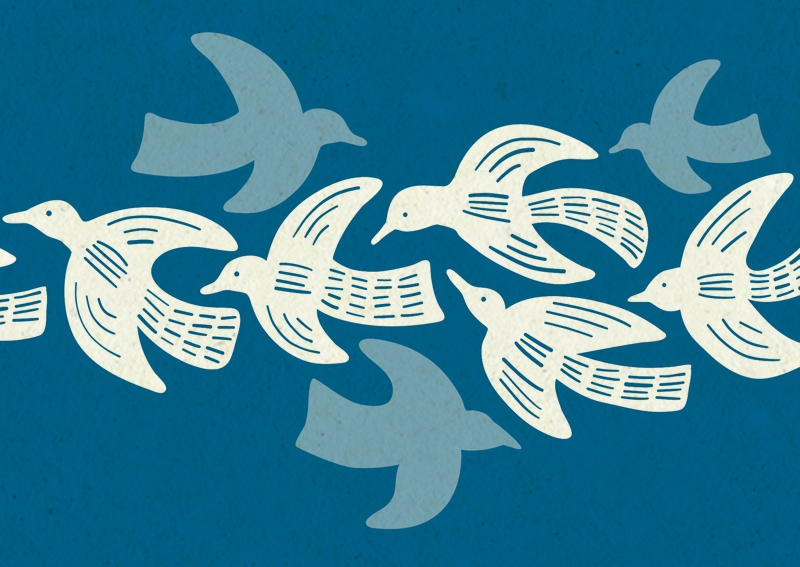 鳥の絵・北欧イラストテキスタイル