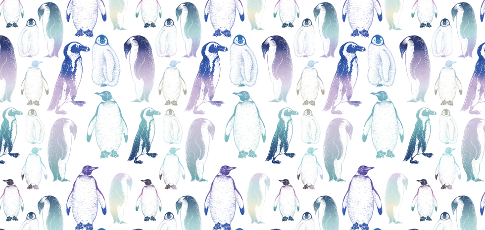 ペンギンイラスト動物テキスタイルデザイン