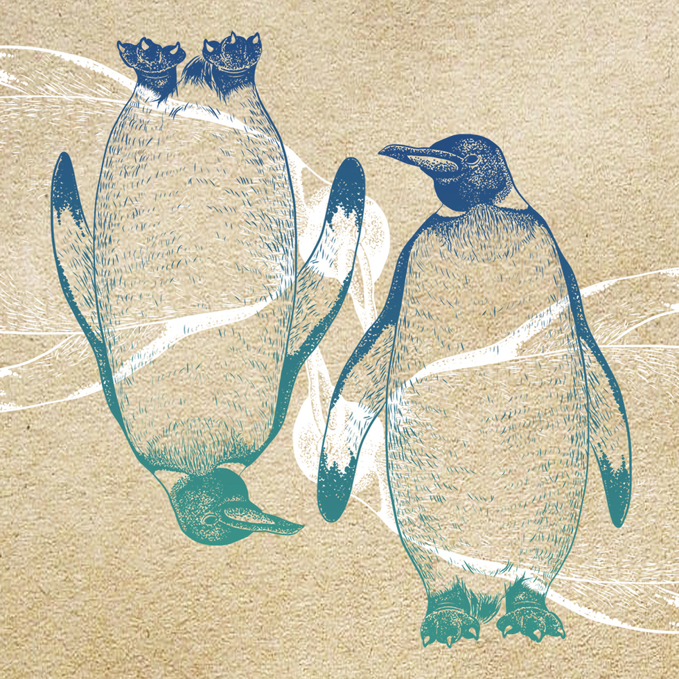 ペンギン細密画イラスト