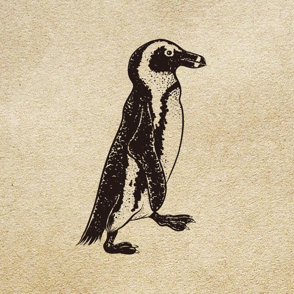 ペンギン細密画イラスト