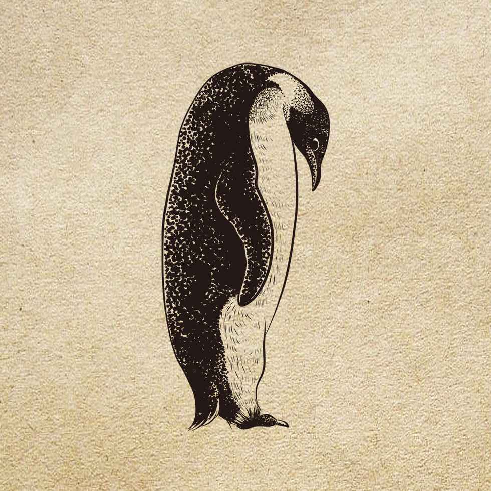 ペンギン細密画イラスト