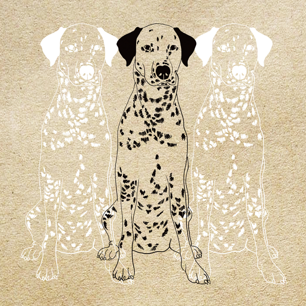 ダルメシアン犬イラスト