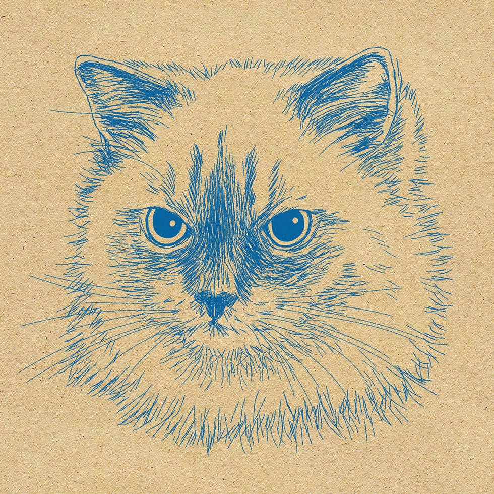 猫の細密ペン画手書きイラスト Orie S Art Work 猫の細密ペン画手書きイラスト Orie S Art Work