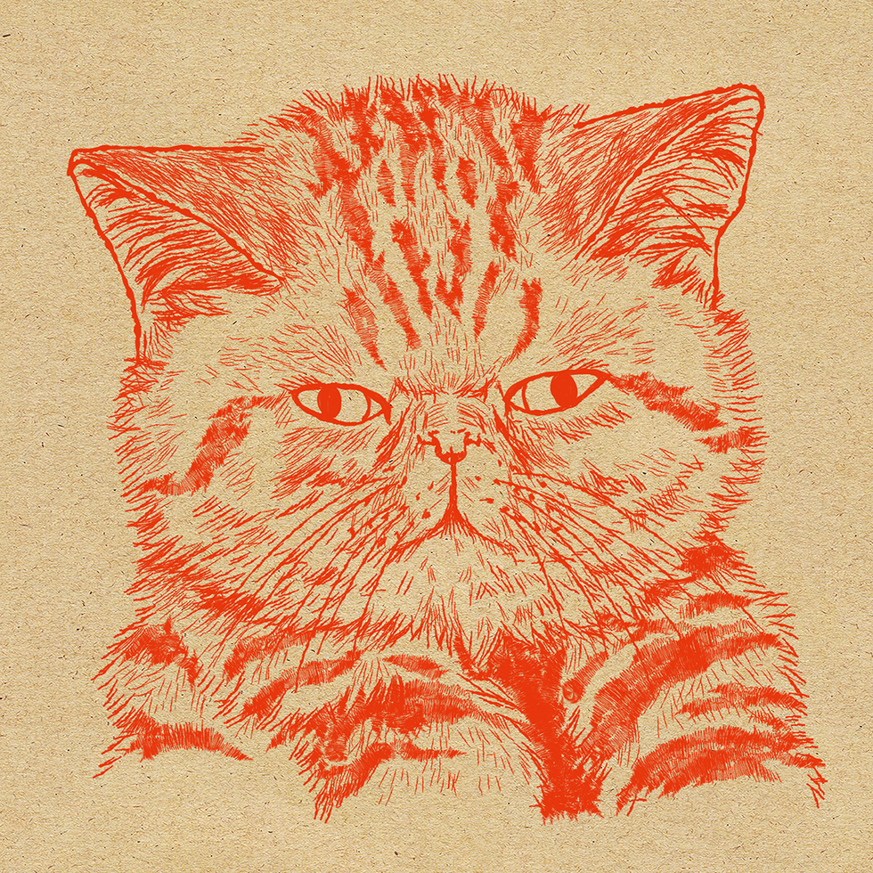 猫の細密ペン画手書きイラスト Orie S Art Work 猫の細密ペン画手書きイラスト Orie S Art Work