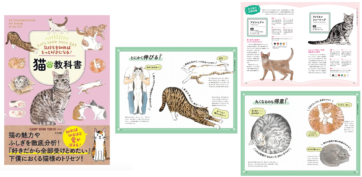Orie Kawamura表紙イラスト、挿絵担当猫の教科書