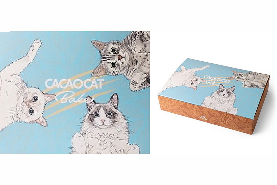 CACAOCAT猫イラストパッケージ