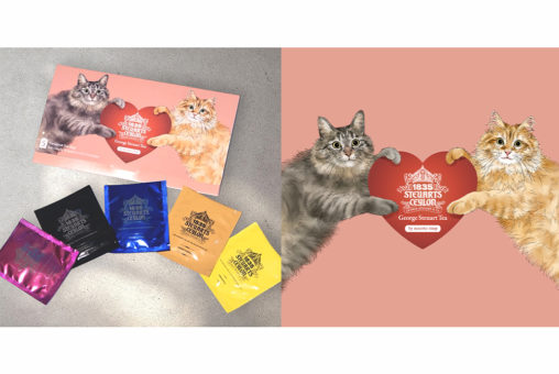 George Steuart Teaジョージスチュアートティ×ネコットショップの紅茶パケージデザイン by 365CAT.ART